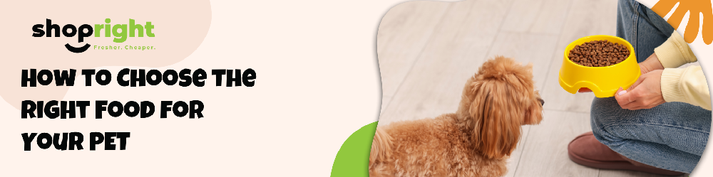 Choose the Right Food for Your Pet